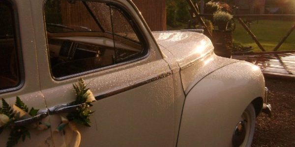 Dodge d19 Luxury Liner